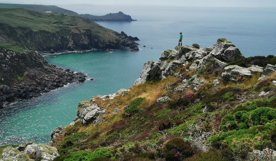 zennor walker