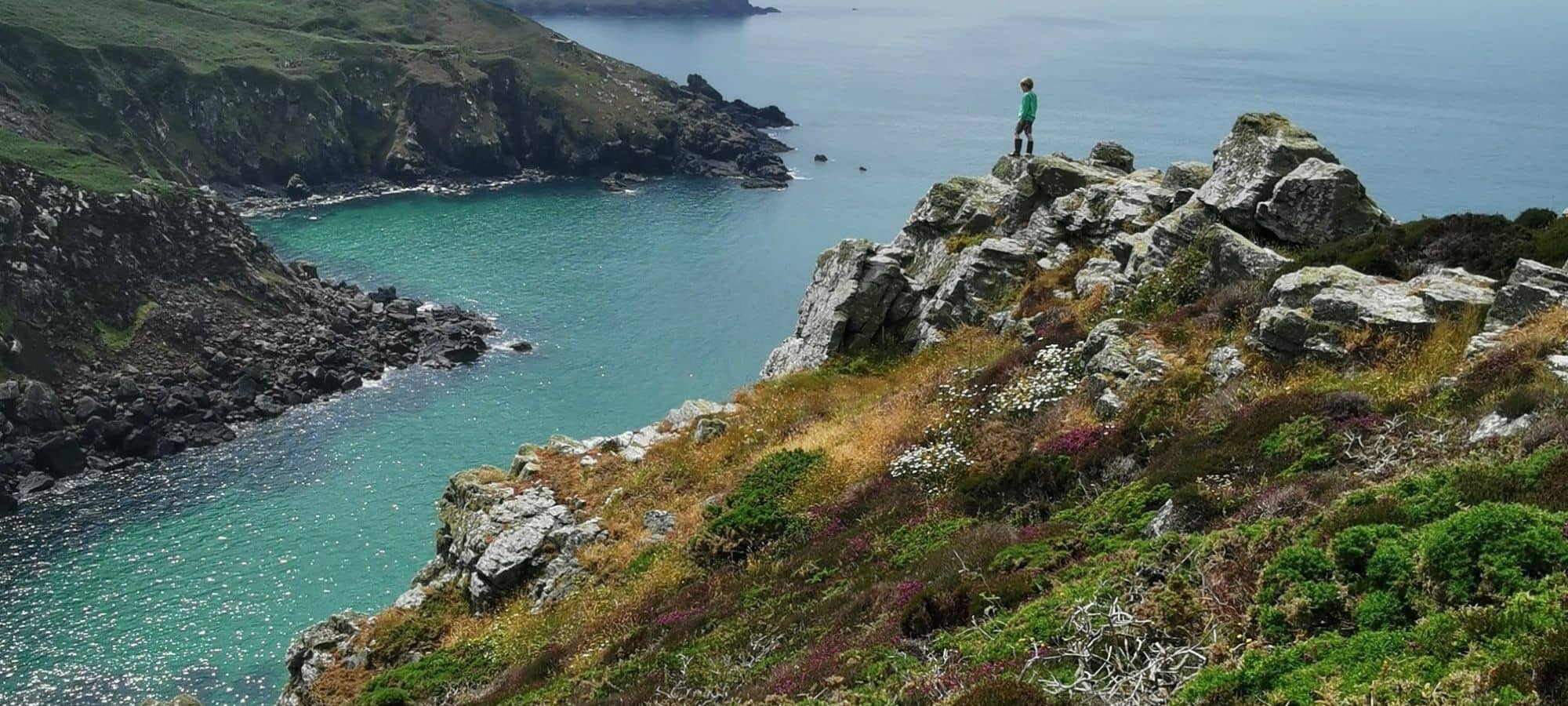 zennor walker