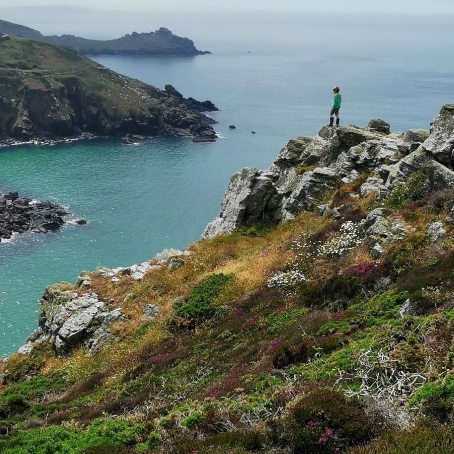 zennor walker