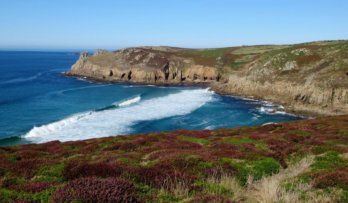 heather and surf on the west coast