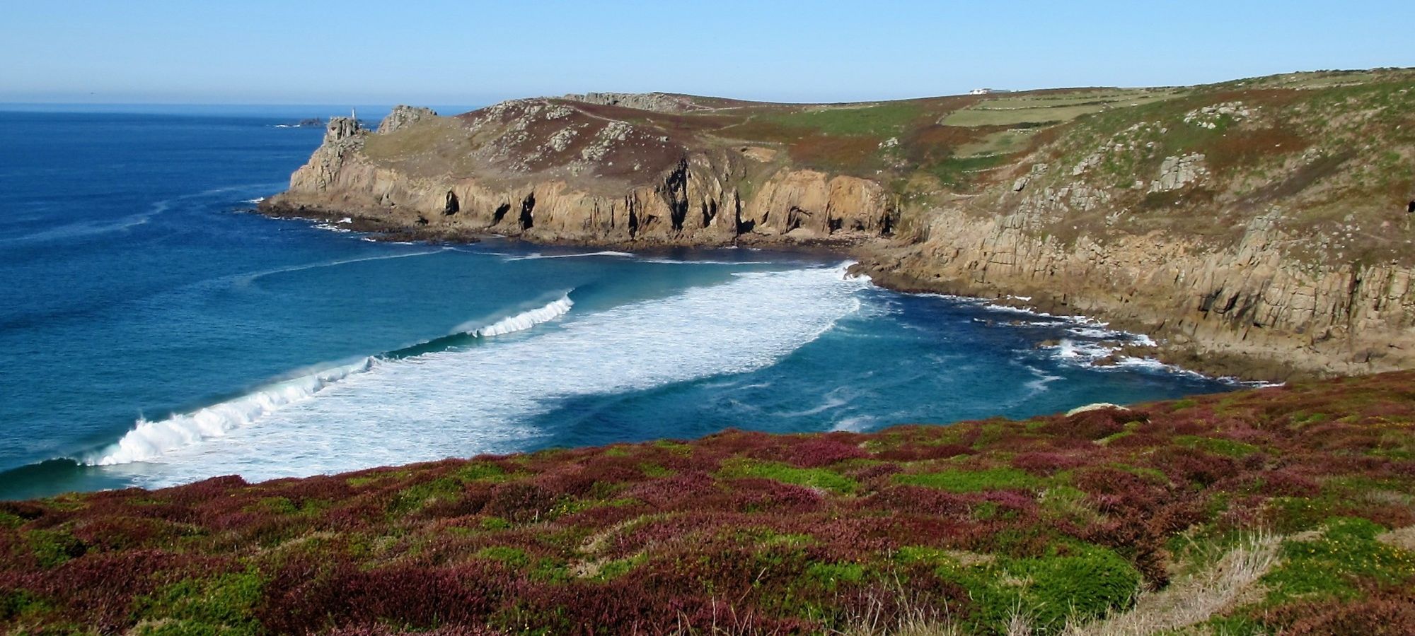heather and surf on the west coast