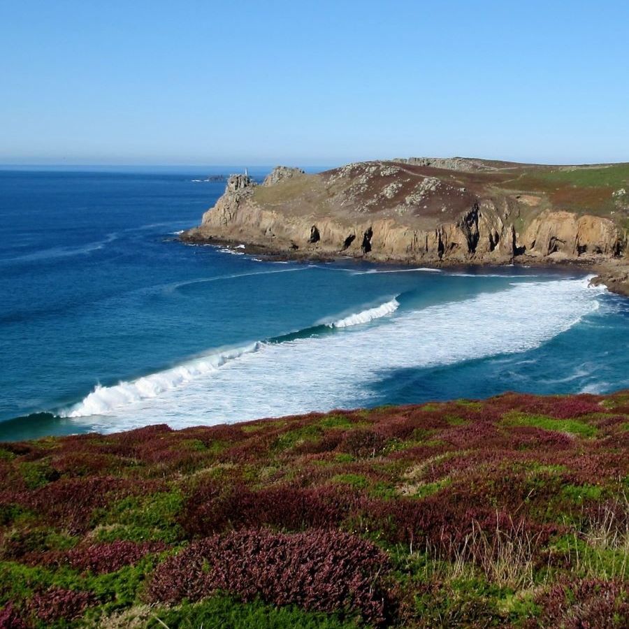 heather and surf on the west coast