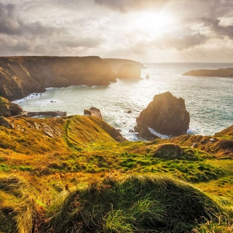 Mullion in winter light
