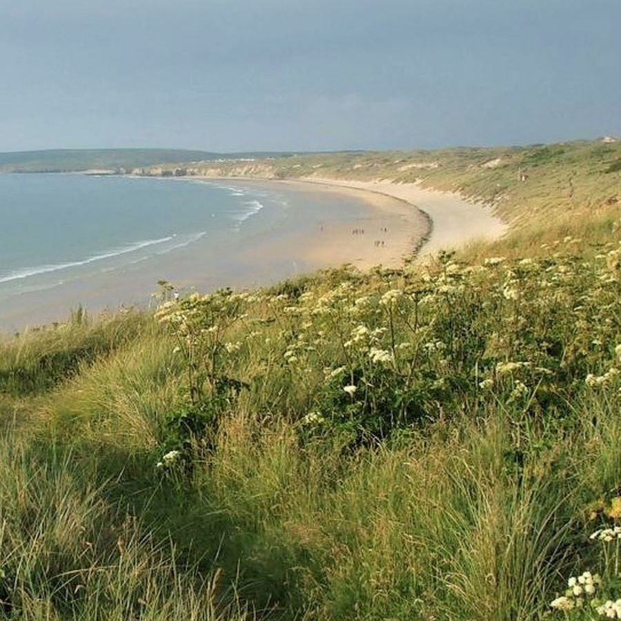 Hayle towans
