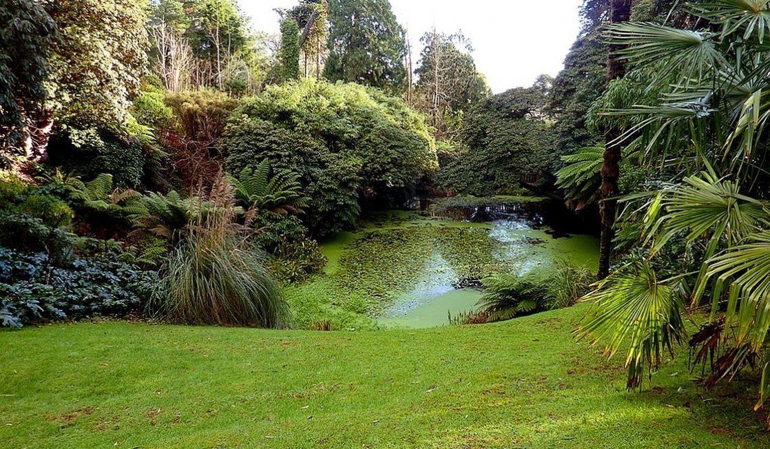 Trengwainton Garden, Penzance