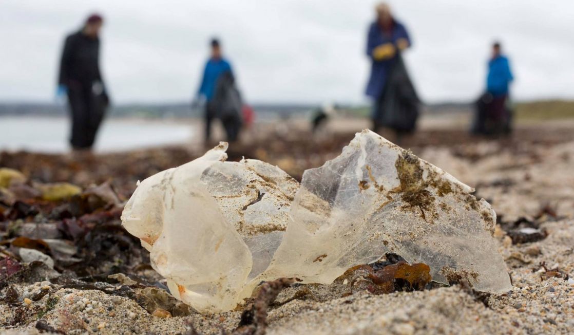 local beach clean group in action