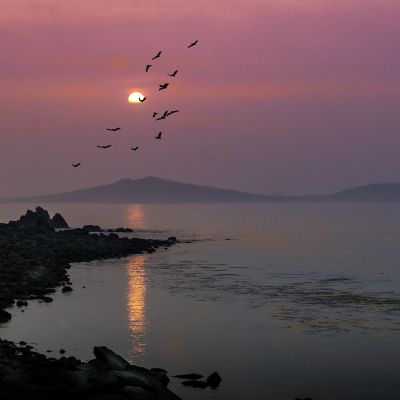 Bryher at sunset