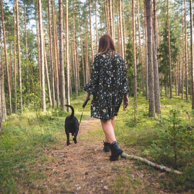 dog walking in a forest