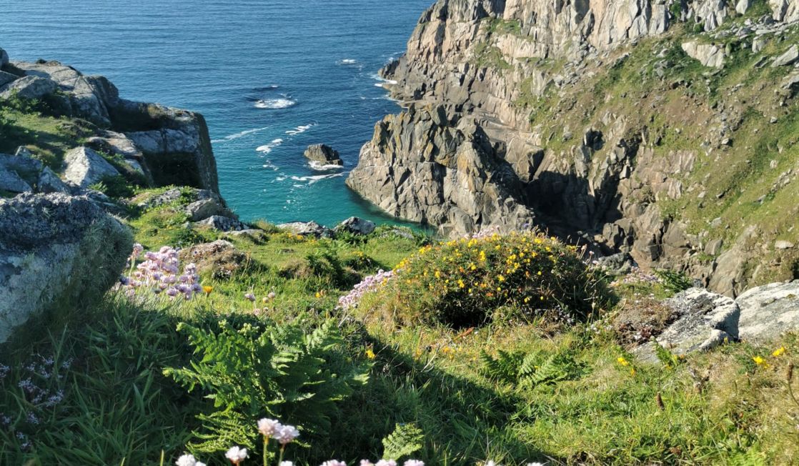 coastal scene: cliffs, flowers, sea - Cornwall