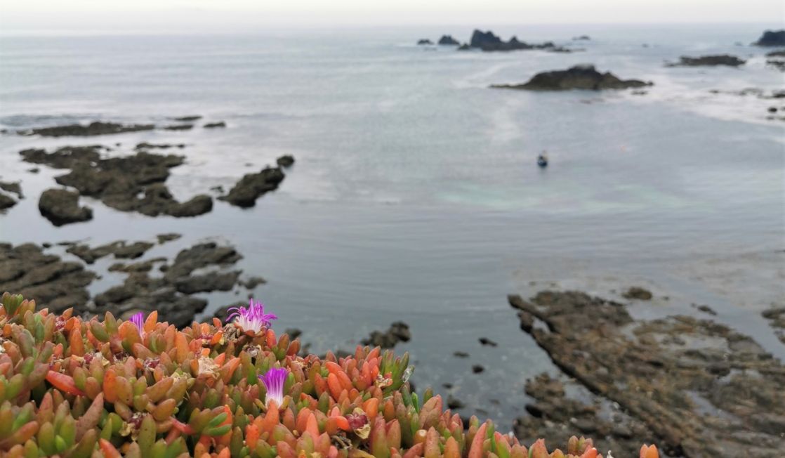 UK's most southerly point, Lizard, Cornwall