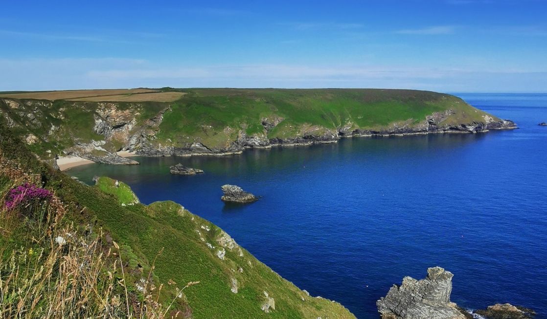cliff tops, heather, blue seas