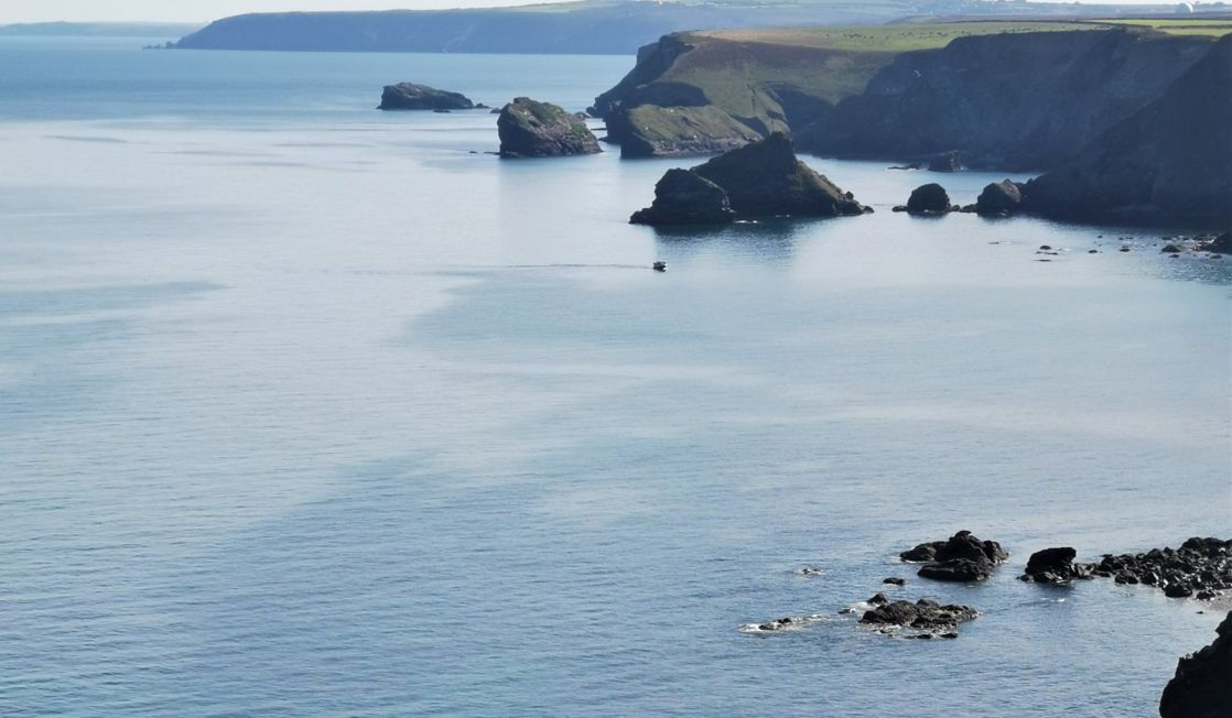 North cliffs, Portreath