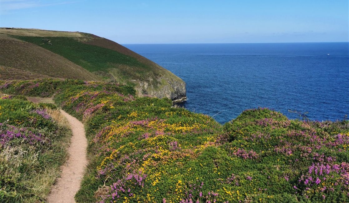 Coast Path leaving St Agnes