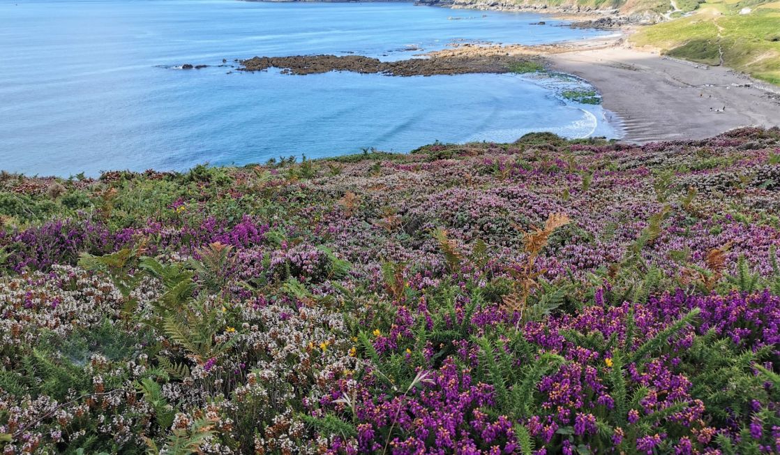 Kennack sands Beach from afar