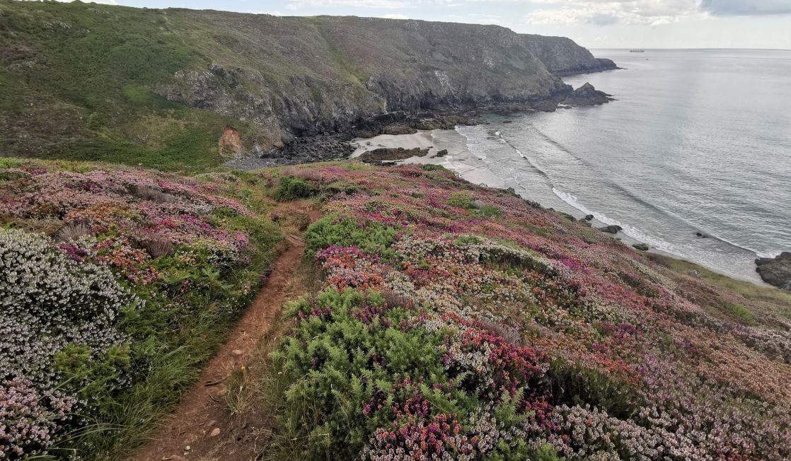Coast Path to Coverack