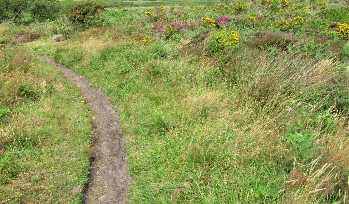 Penwith moors footpath