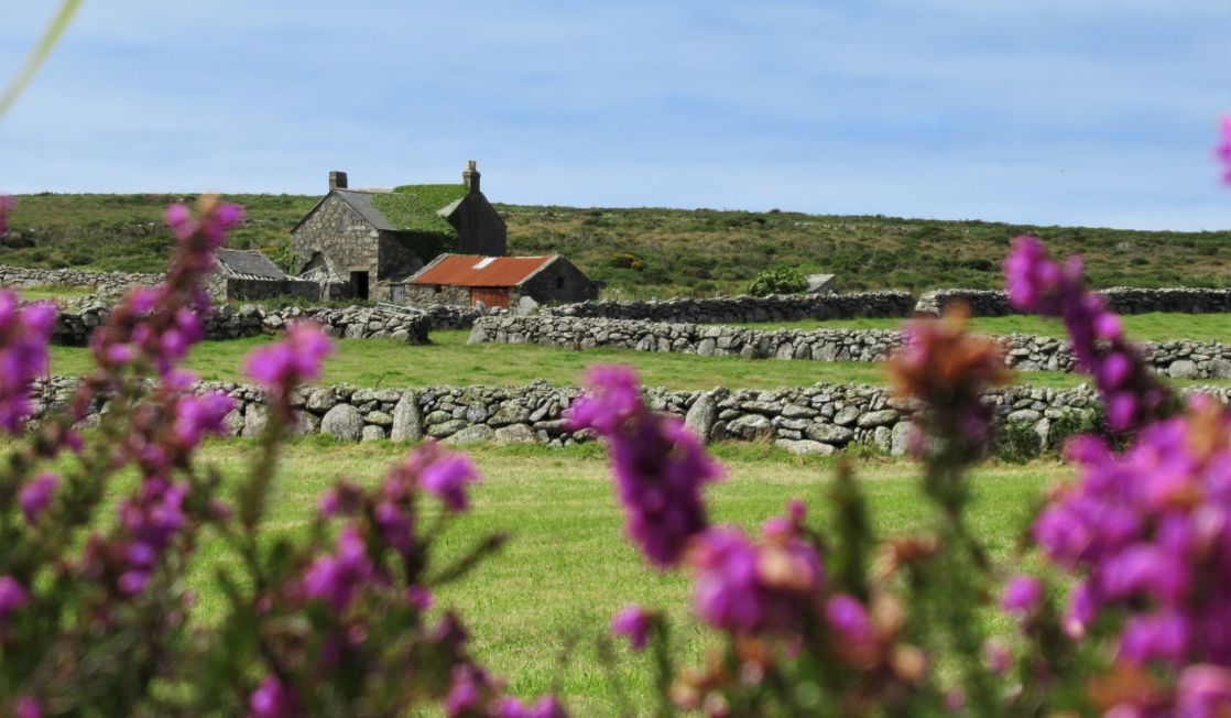 Abandoned farm