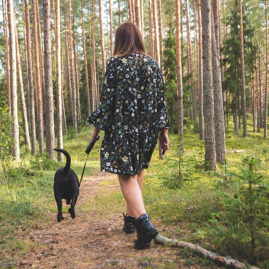 dog walker