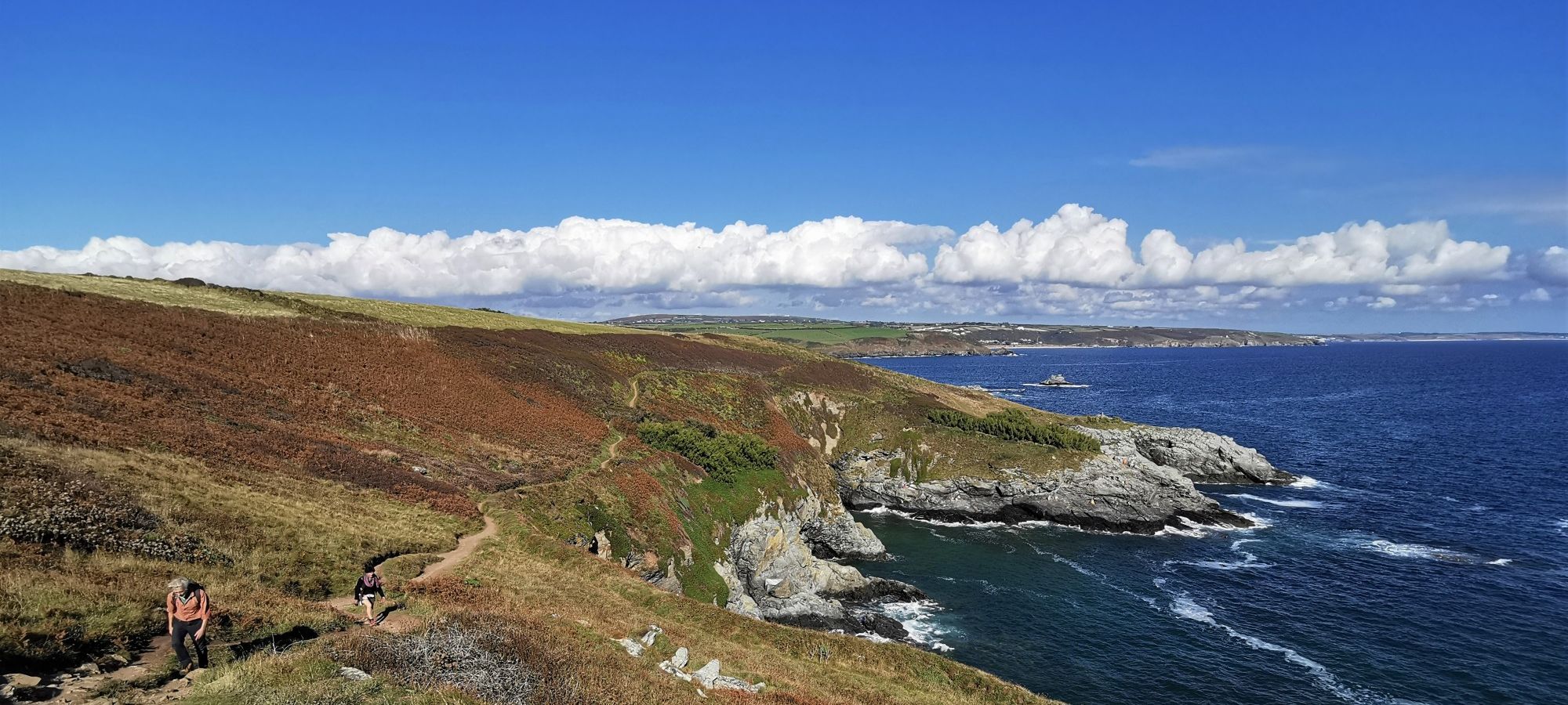Coast path on the south coast near Prussia Cove