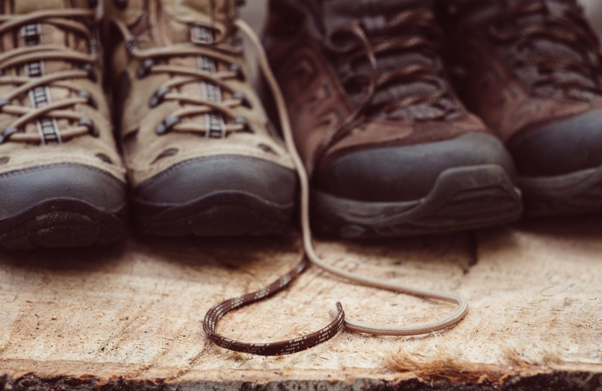 Hiking boots lined up