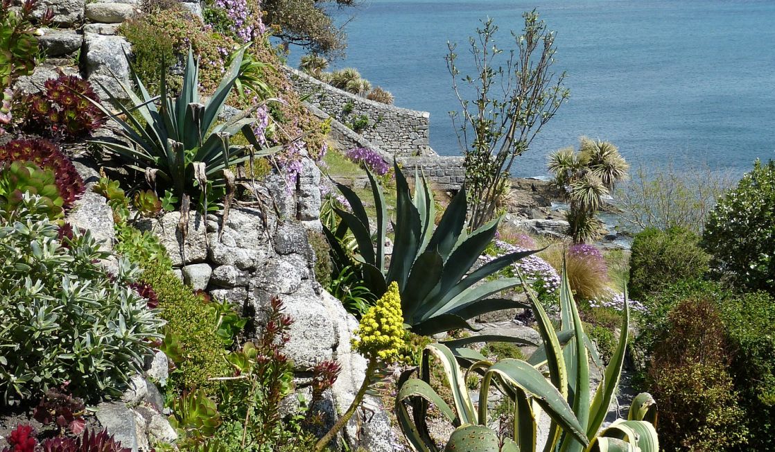 St Michaels Mount gardens