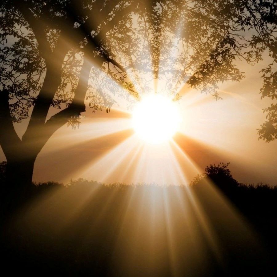 Sunrise