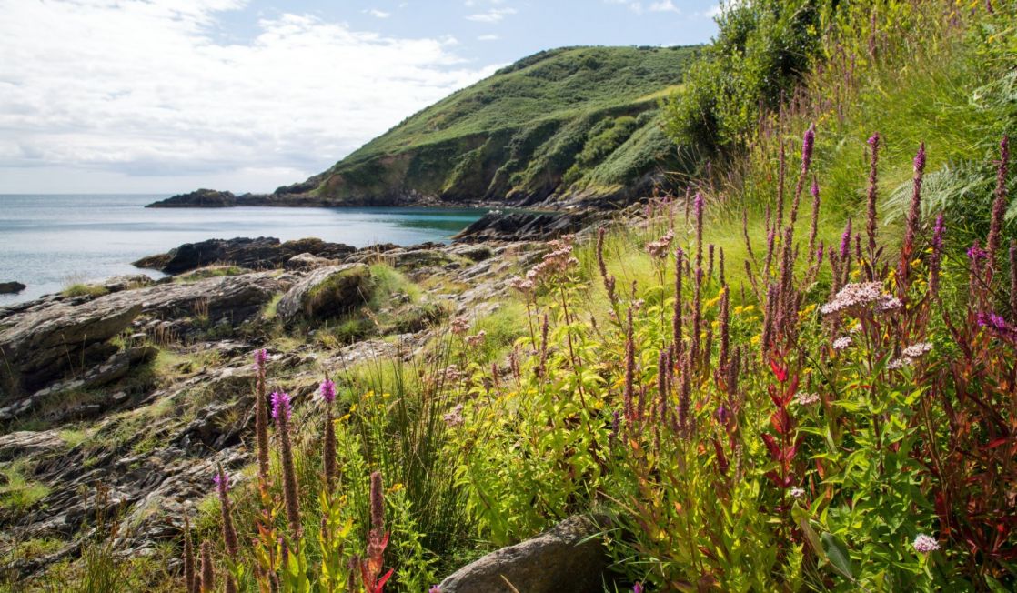 Nare Point, Cornwall